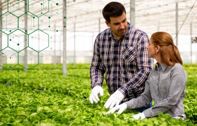 Wahb Farms