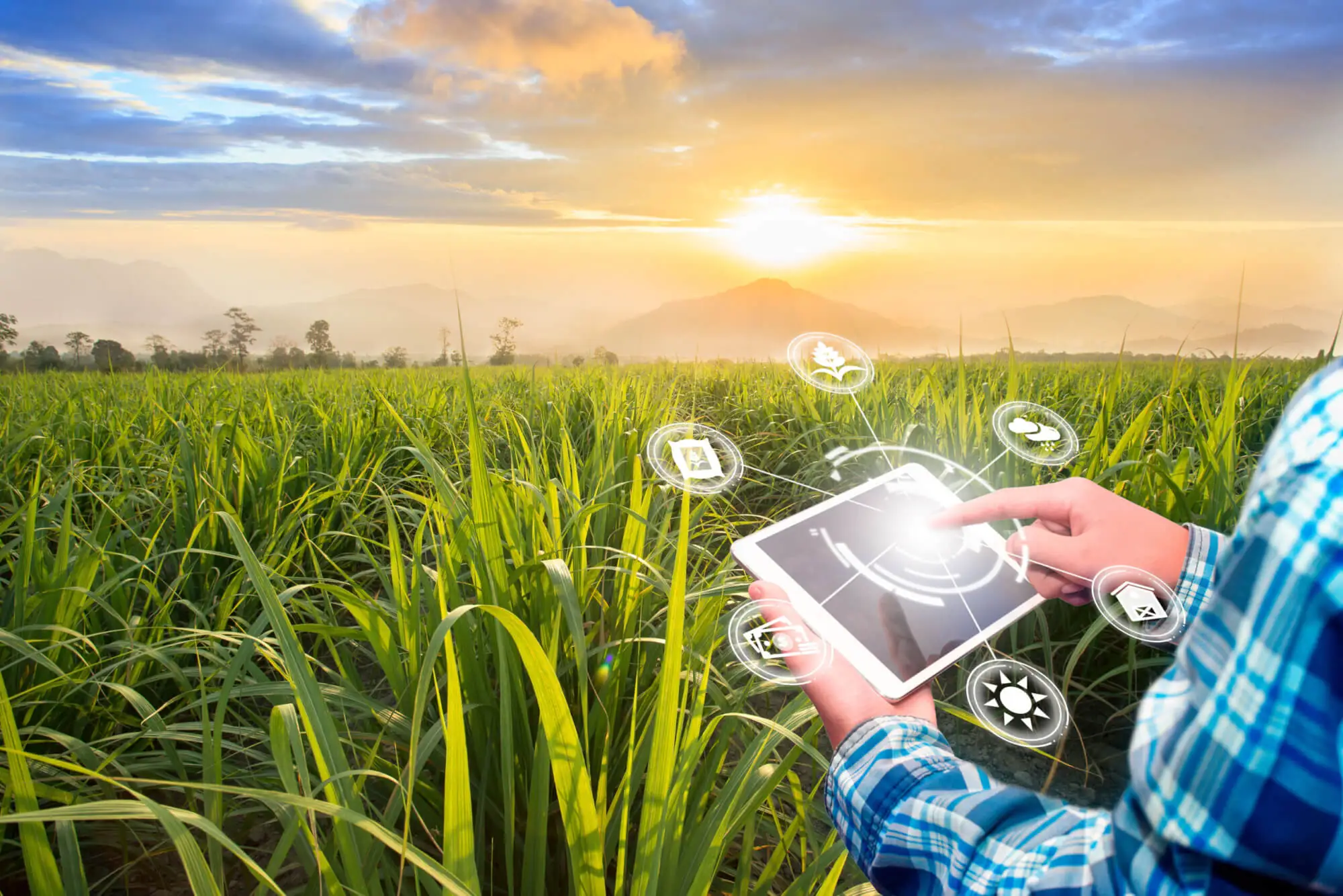 Farm Management