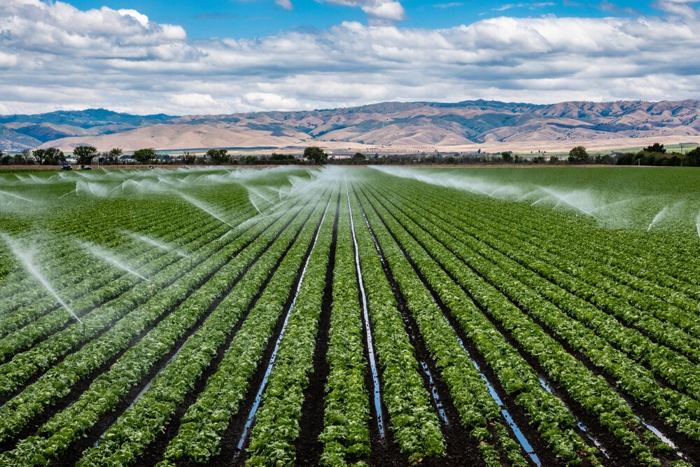 Modern Irrigation
