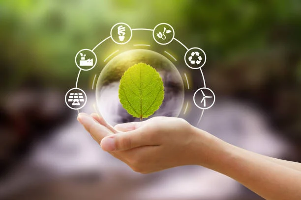 Sustainable Practices